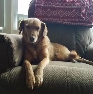 Meet your Posher, Lynn